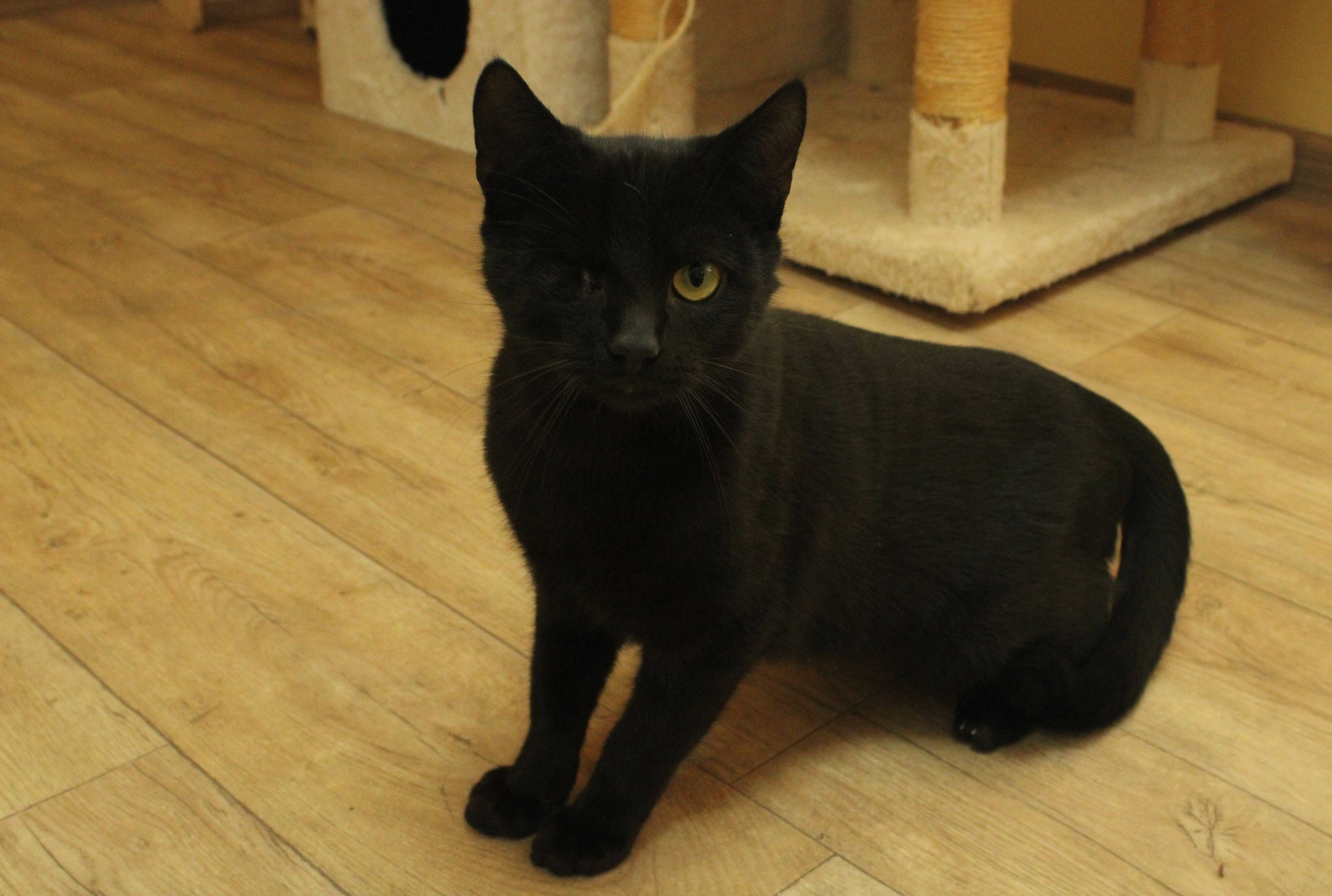 589650068_1173339954927876_569597731730479783_n