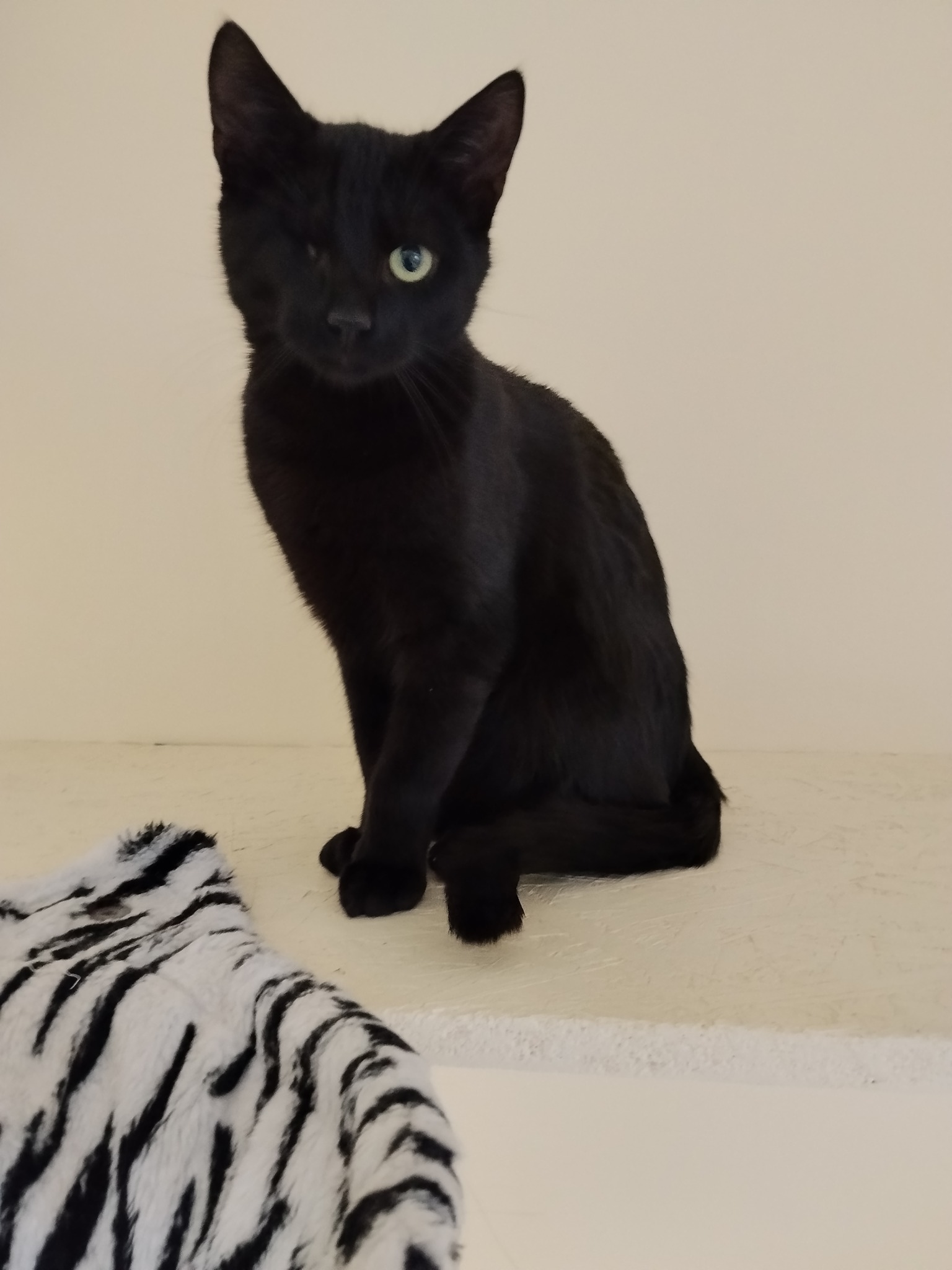 590085025_1173339921594546_2395553680323223533_n