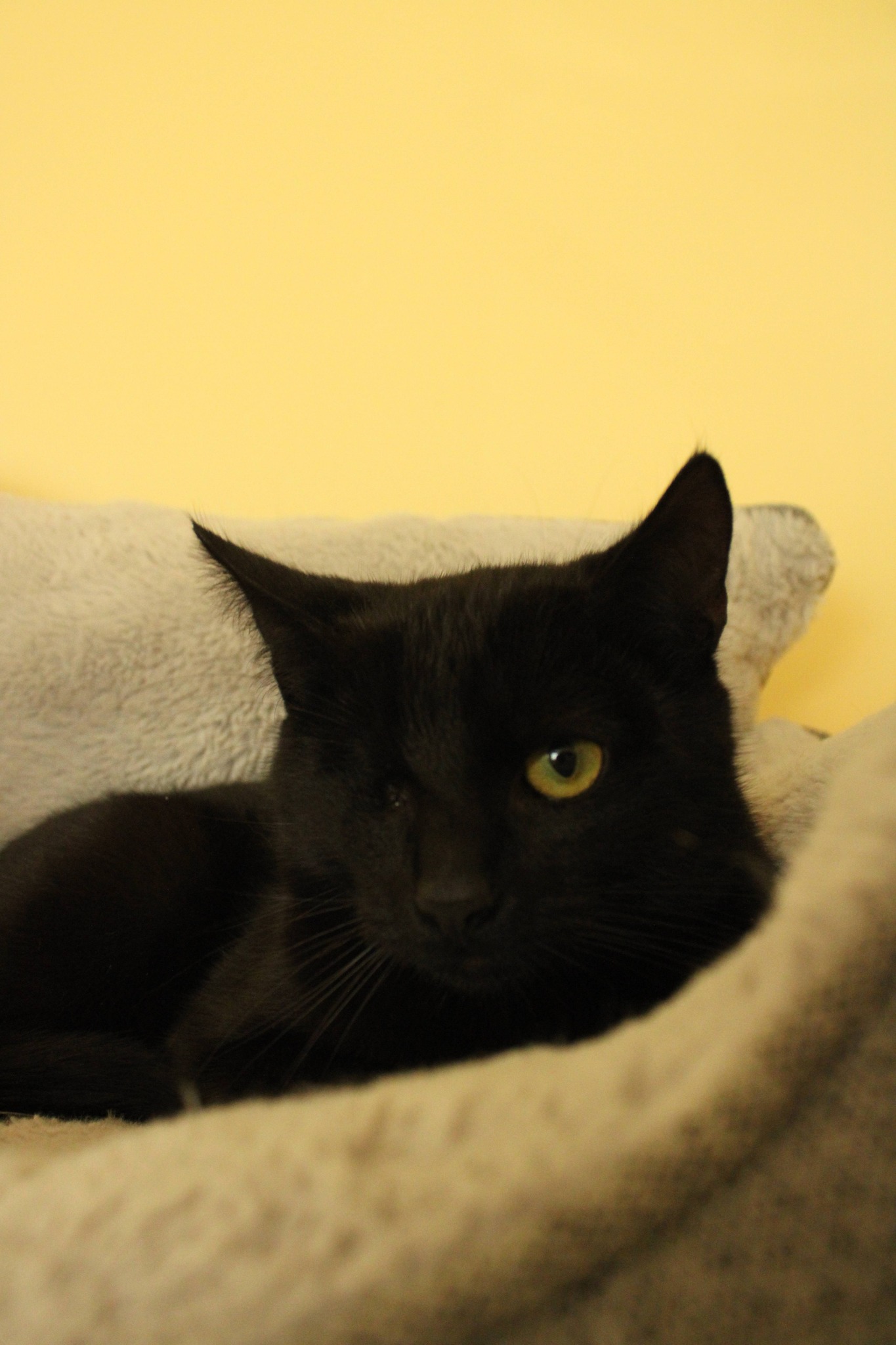 590528089_1173339871594551_587911444084891490_n