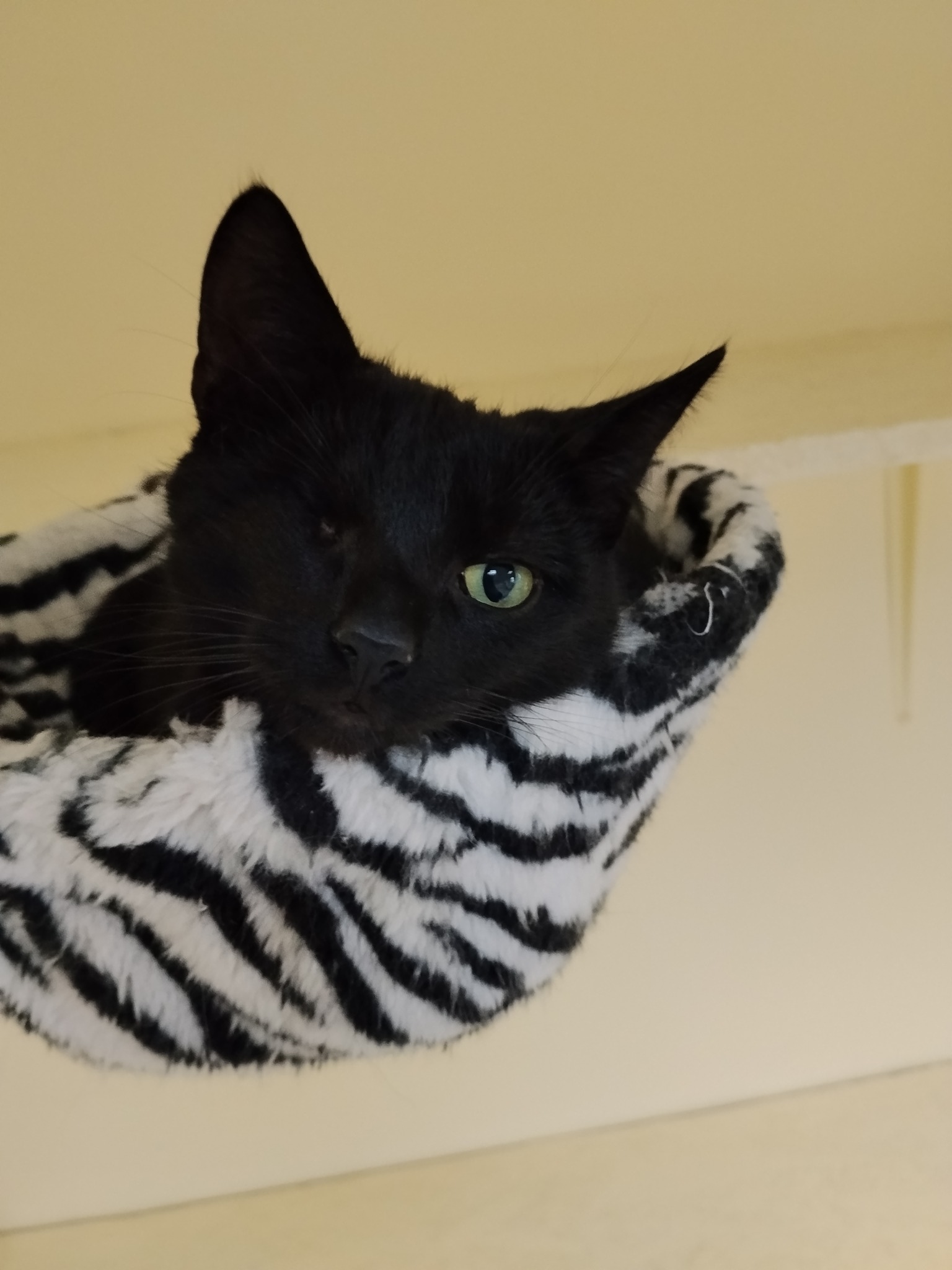 590771546_1173339918261213_4622987252229650230_n