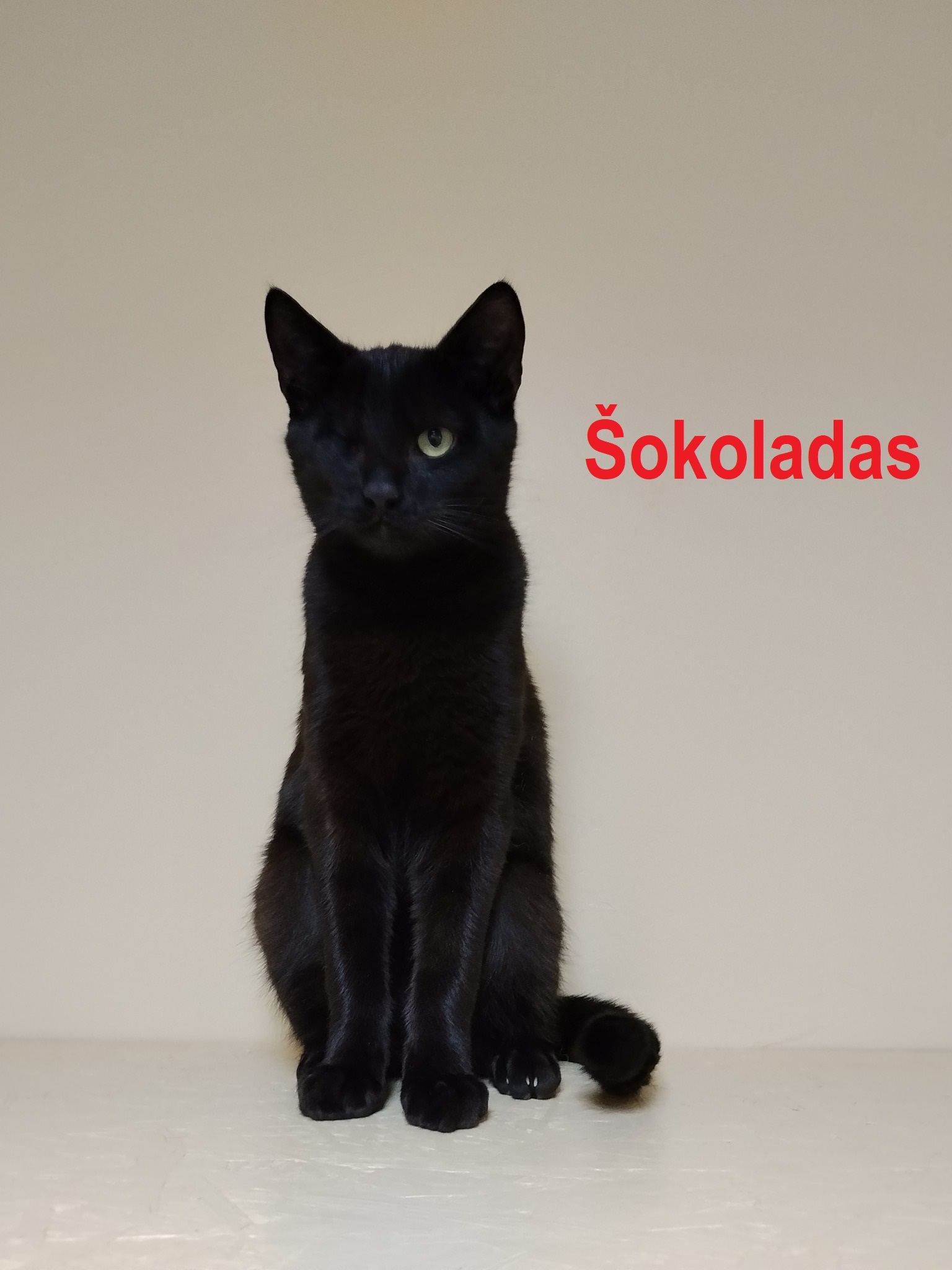 590917888_1173339914927880_2680086717411438295_n – kopija