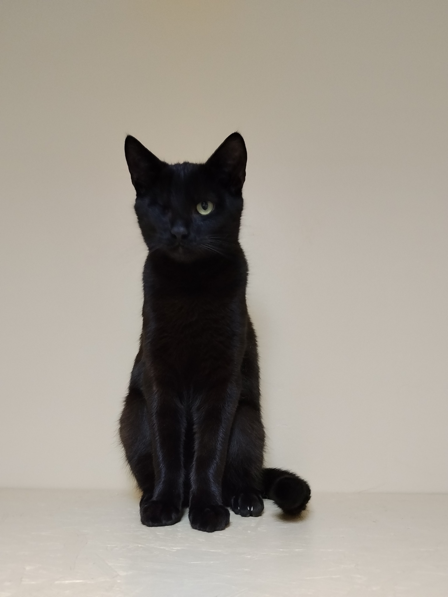 590917888_1173339914927880_2680086717411438295_n