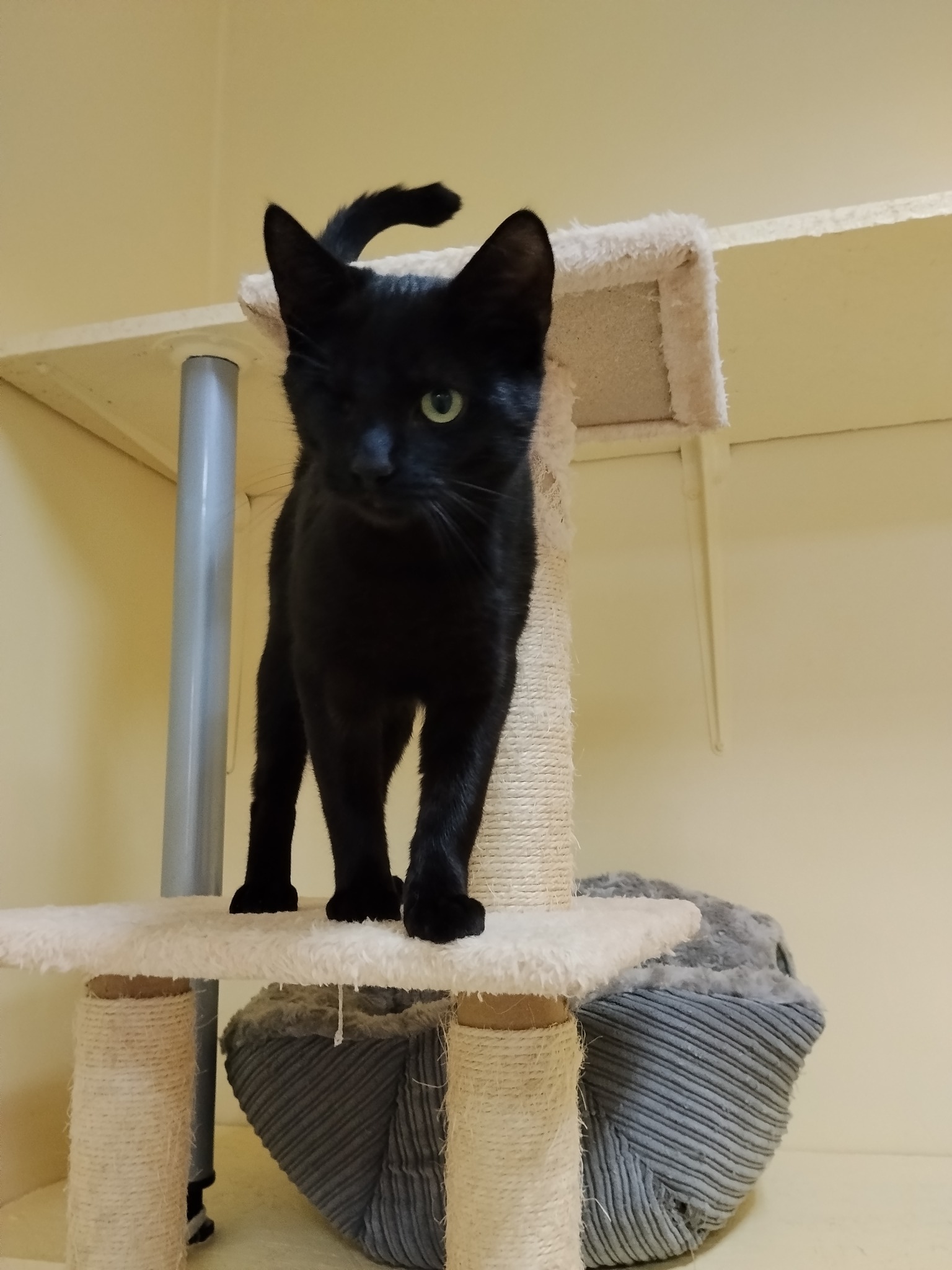 591210587_1173339924927879_8166788804646739278_n