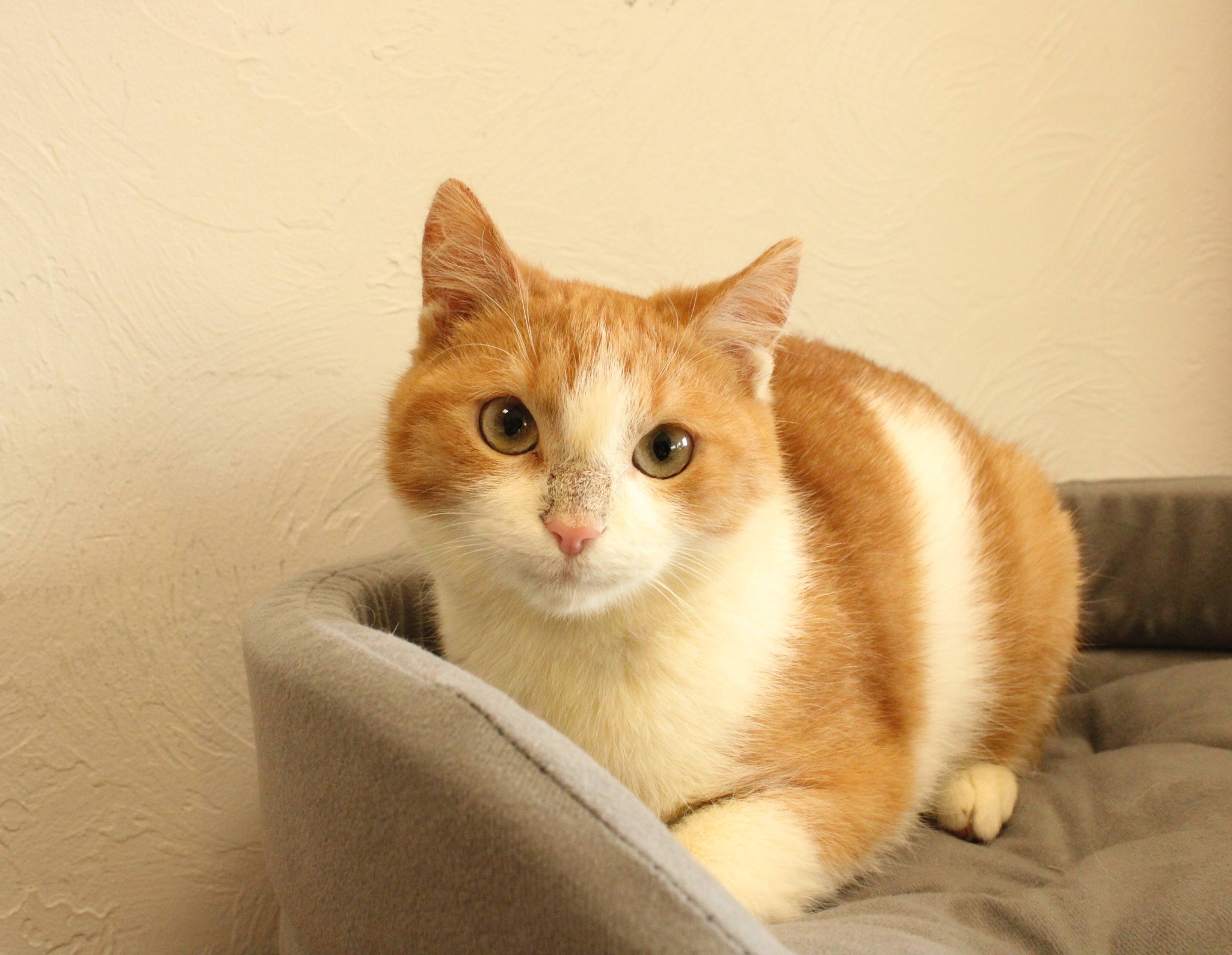 589635097_1173278301600708_194962077626828146_n