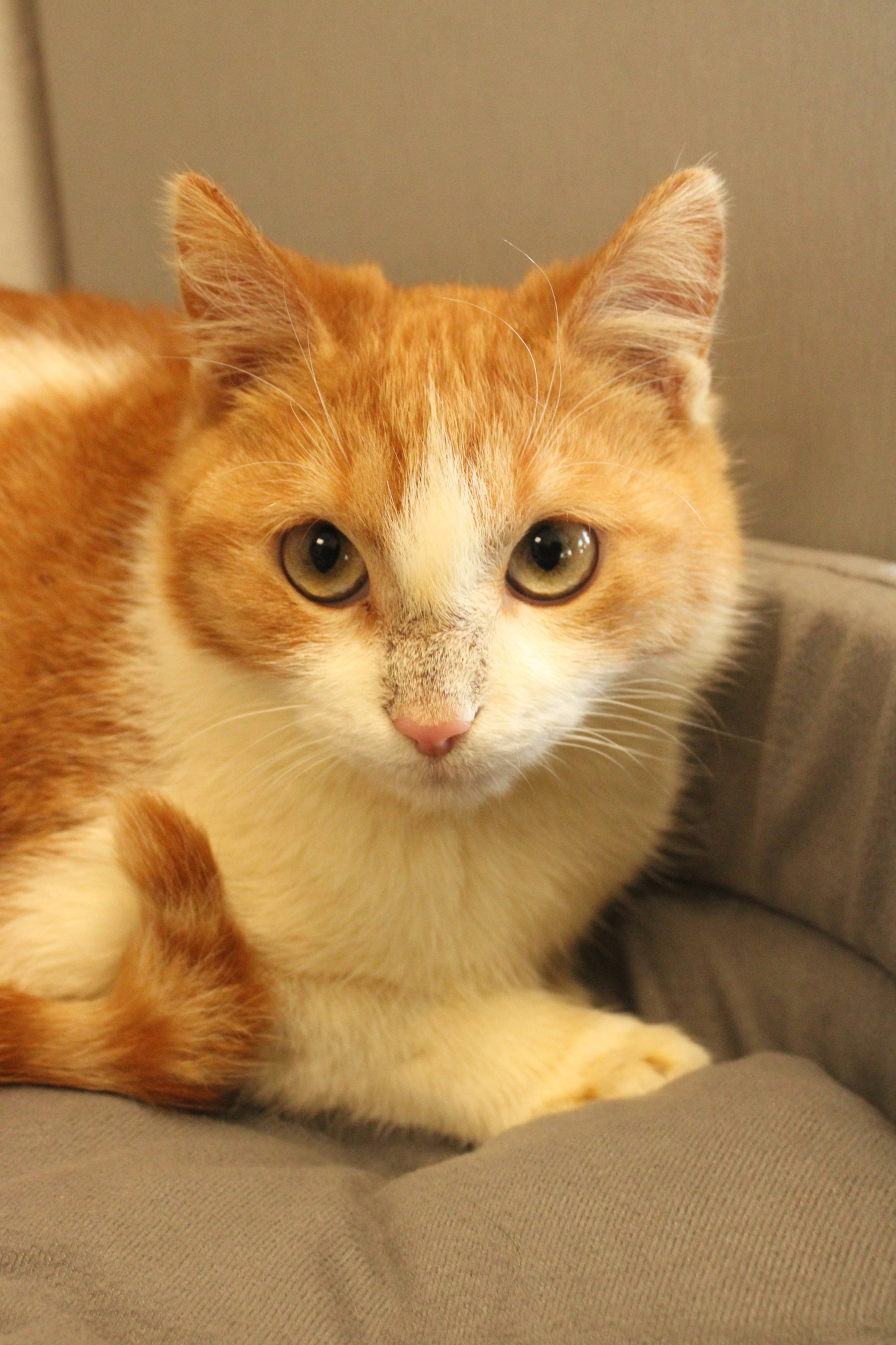 589643606_1173278258267379_127059168057611448_n