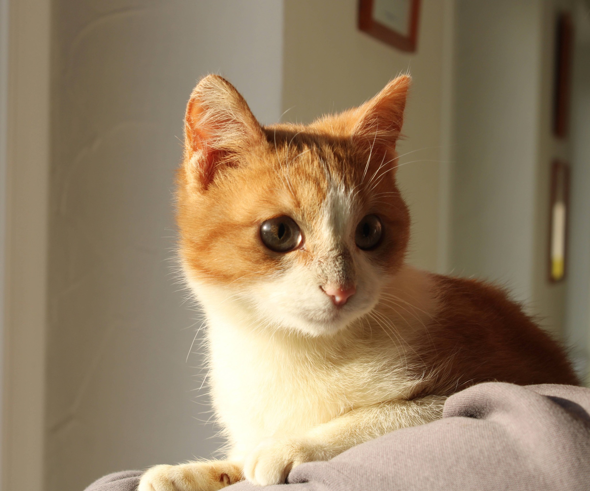 589885650_1173278281600710_932335979116620024_n