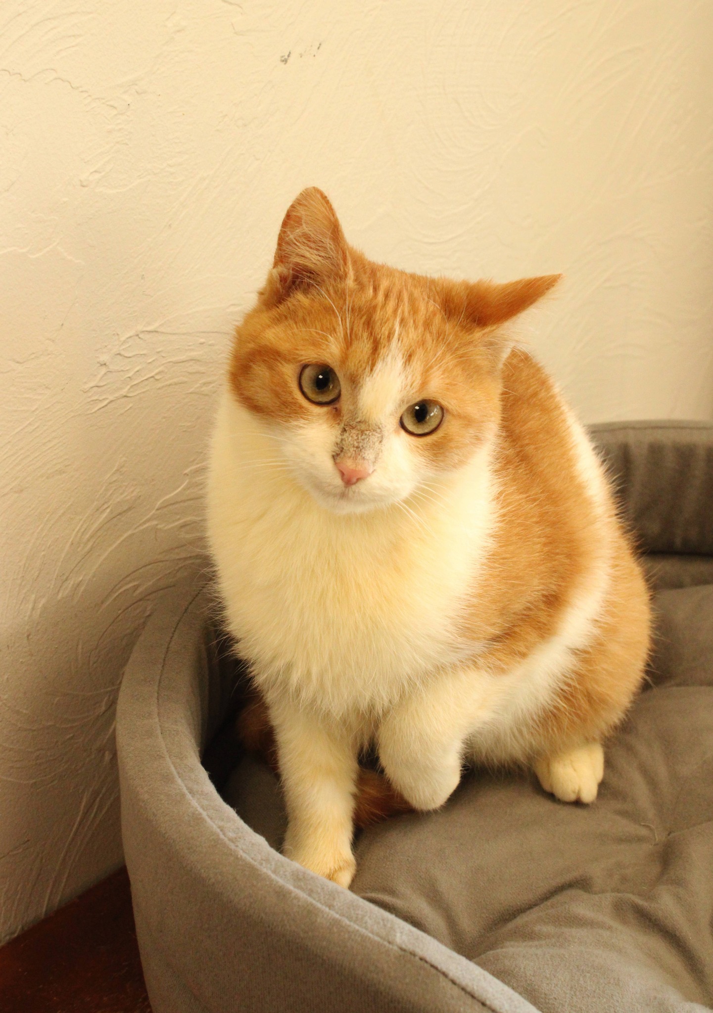 589890217_1173278241600714_3063514294455956808_n