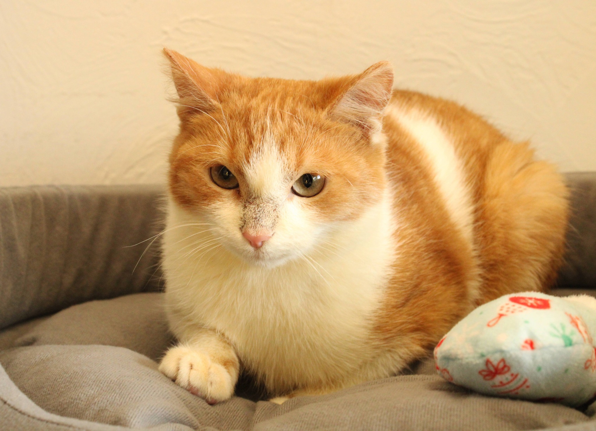 590717293_1173278384934033_6598260395546224823_n