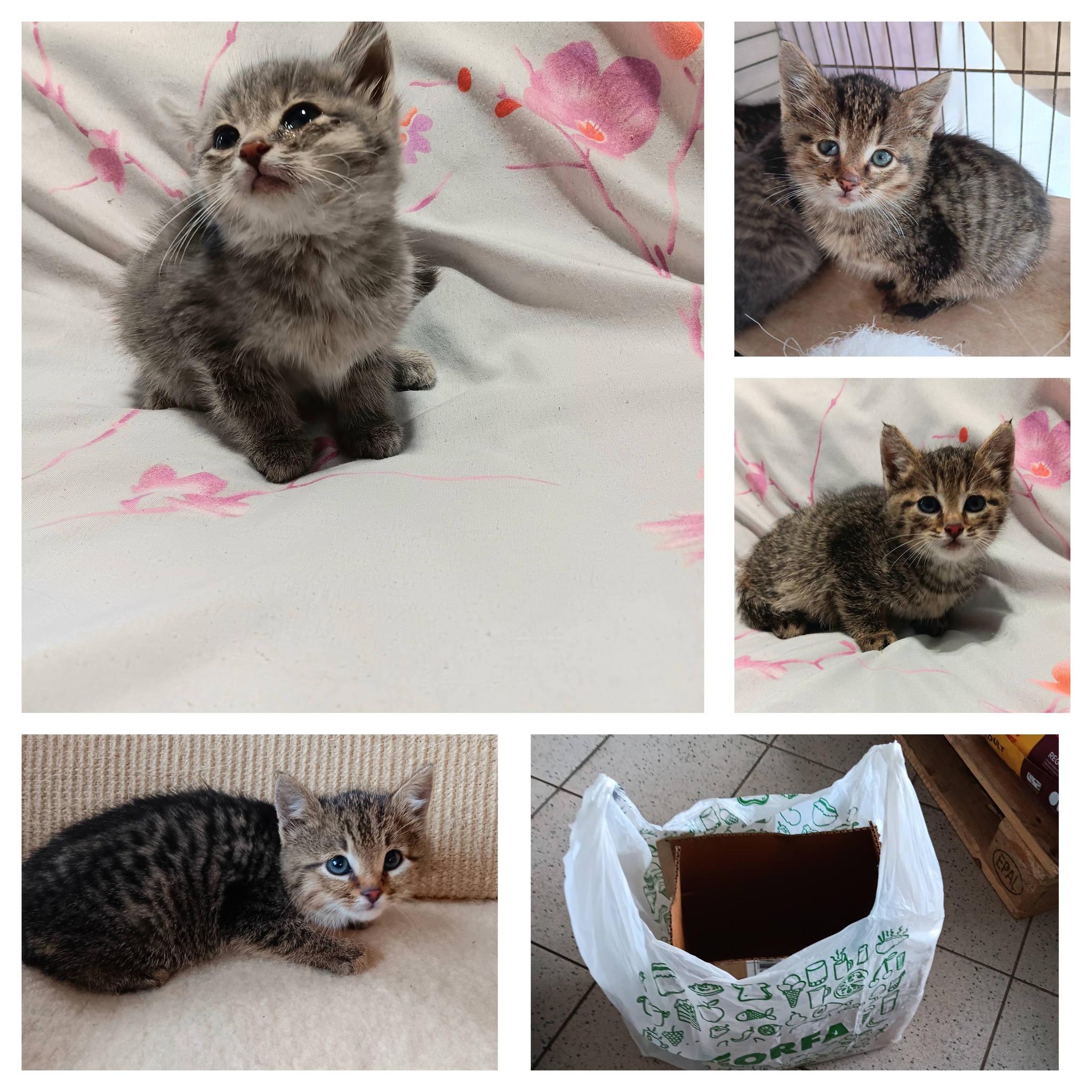 572373068_1148749034053635_6012895284940326556_n