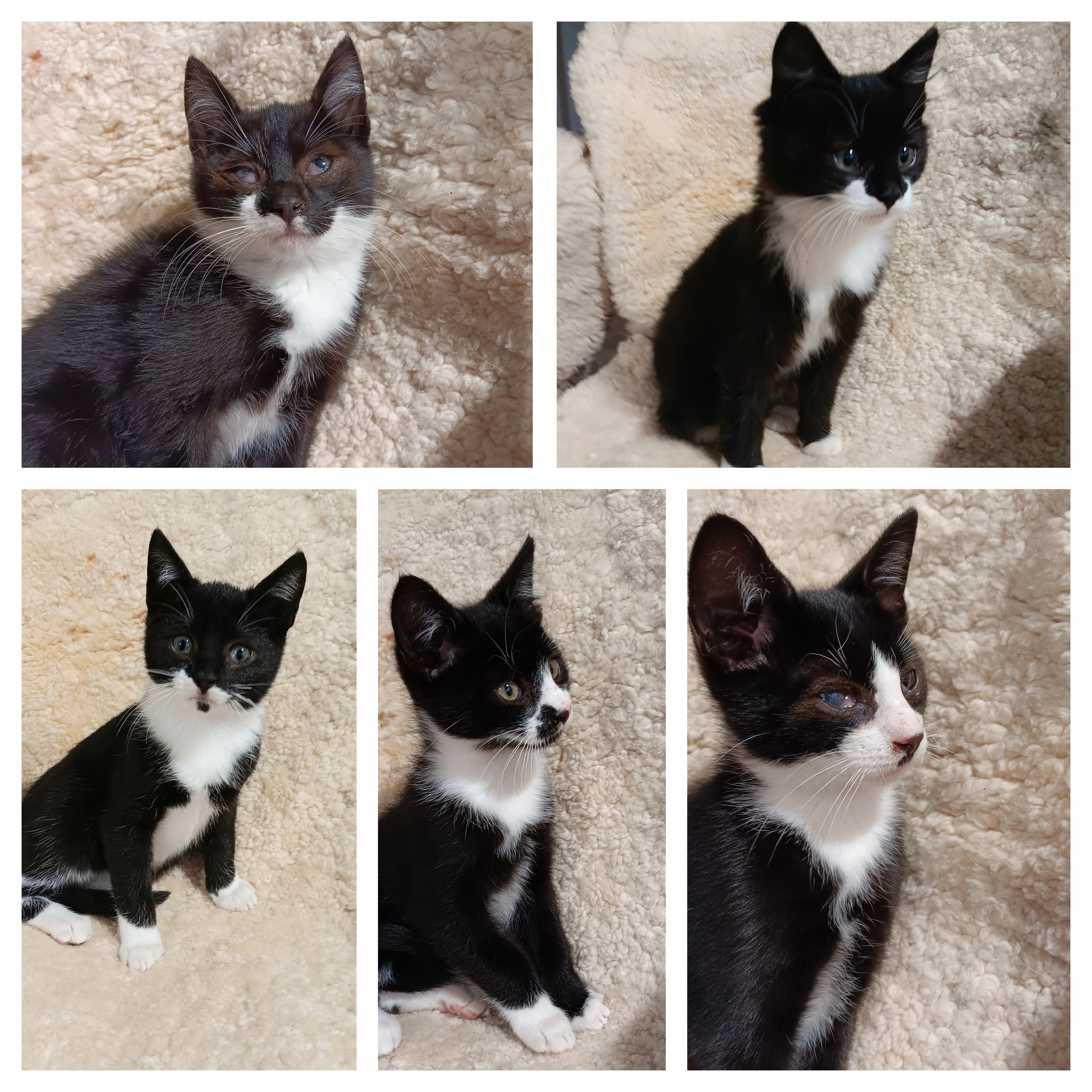 572393940_1148764424052096_4923937592620387667_n