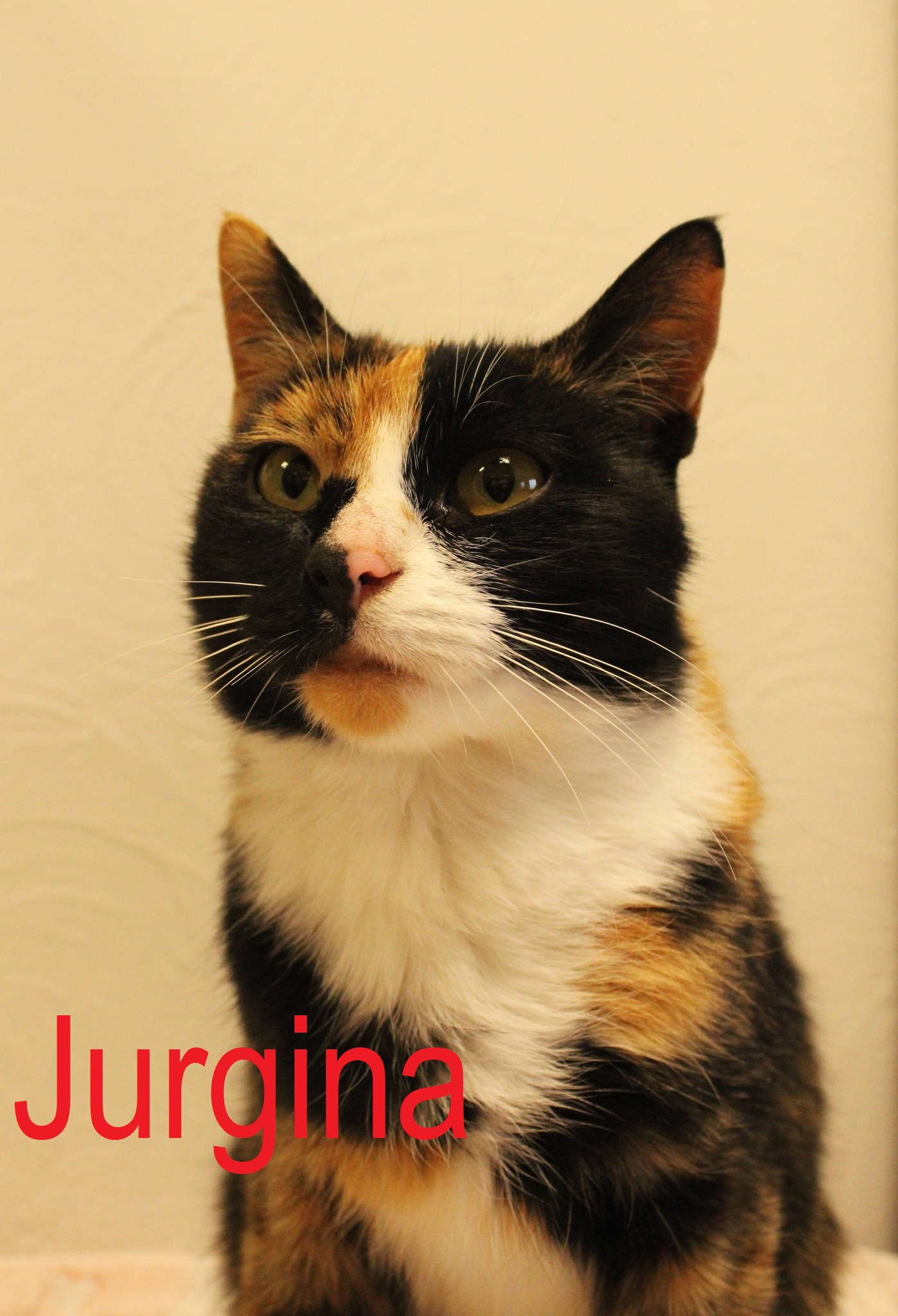 625087445_1222331666695371_7094996722319984404_n – kopija