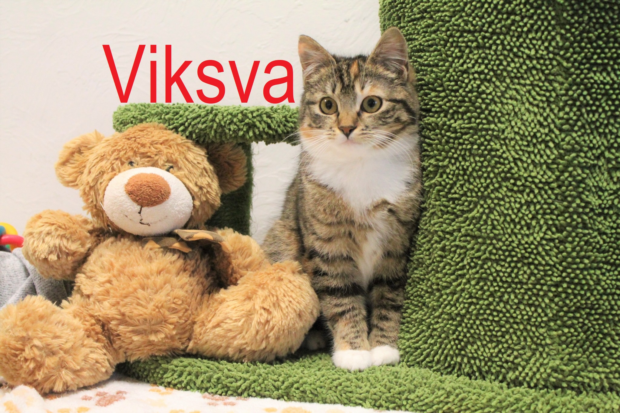 658134801_1270544735207397_3981639643789877643_n