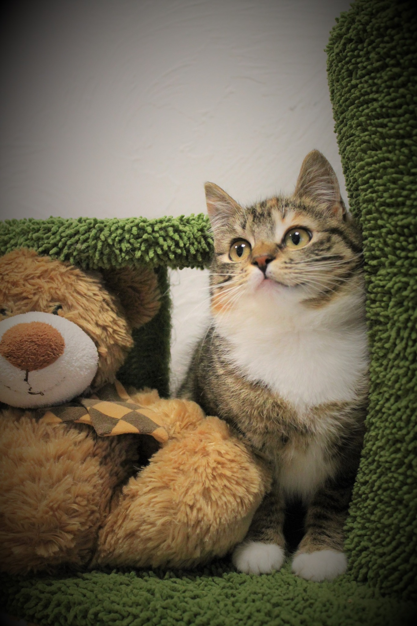 658141552_1270544788540725_6444409486448246748_n