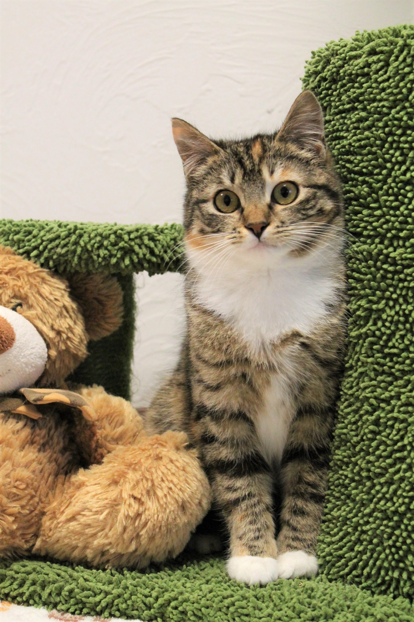 658439934_1270544758540728_3204700972310089853_n