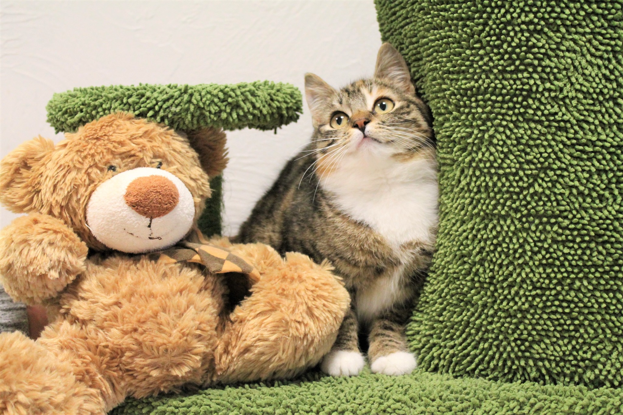 658914086_1270544718540732_3982797936879847732_n