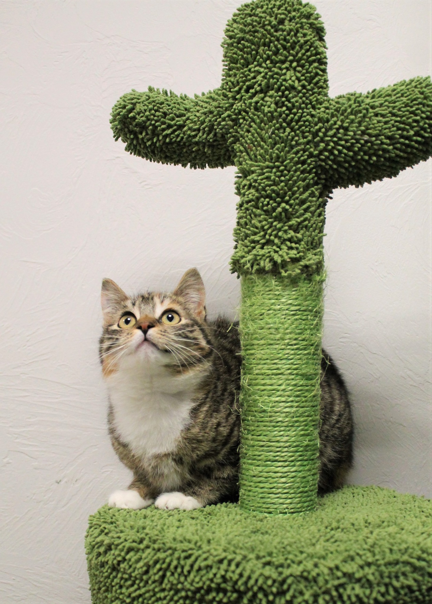 658914089_1270544841874053_8329069132996869393_n