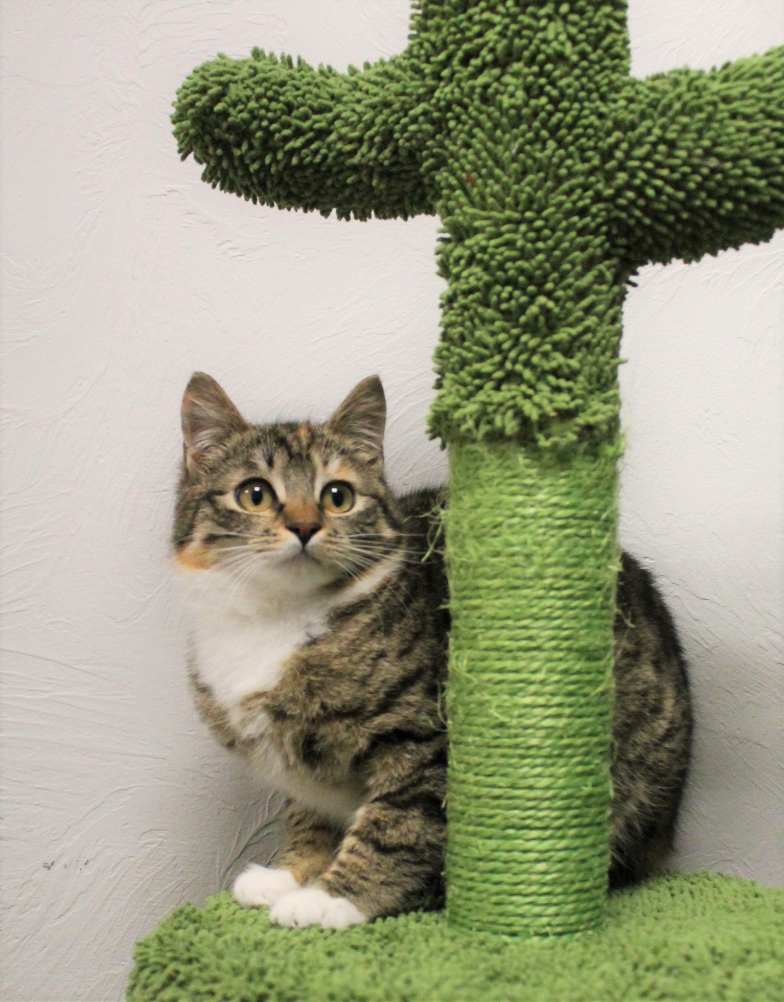 658937840_1270544705207400_1685262487564998569_n