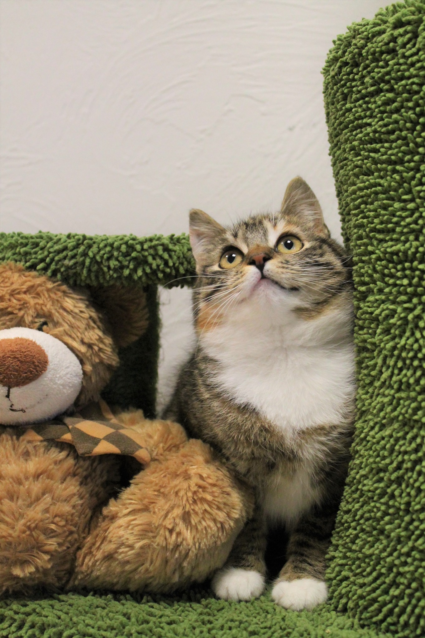 659128453_1270544911874046_8365221118791441282_n